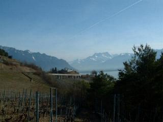 06.jpg
