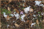2013-02-12-00384