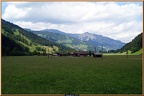 2014-06-26-05924 (157 visites) Oberried (Simmental) 2014-06-26-05924