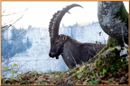 2014-11-21-09763