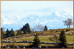 2014-11-21-09816