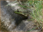 2018-05-02-10157 (253 visites) 2018-05-02-10157