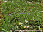 2018-05-31-10675