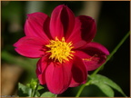 2018-10-11-10017 (269 visites) 2018-10-11-10017
