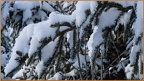 2019-01-10-00034