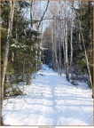 2019-01-21-f0014