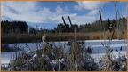 2019-01-30-30060