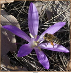 2019-02-20-30149
