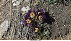 2019-02-20-30157