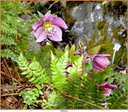 2019-02-20-30197