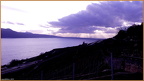 2019-03-10-30373
