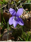 2019-04-09-30655