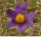2019-04-12-30738