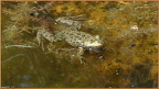 2019-04-23-30887