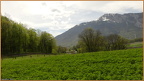 2019-04-23-30914