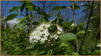 2019-04-30-40017