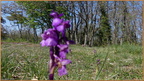 2019-04-30-40099