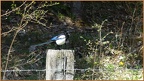 2019-05-07-40253