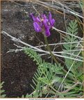 2019-05-27-40526