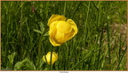 2019-05-31-40794
