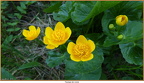 2019-06-05-00001