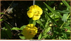 2019-06-18-00138