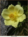 2019-06-18-00179