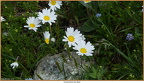 2019-07-04-00561