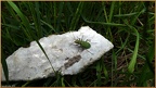 2019-07-08-00857