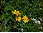 2019-07-10-00084