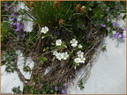 2019-07-10-00154