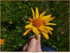 2019-07-16-00599