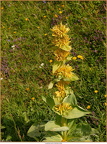 2019-07-18-00644