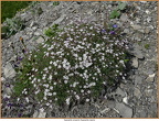 2019-07-22-00702