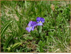 2019-07-22-00792