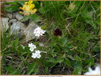 2019-07-22-00796