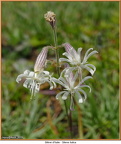 2019-07-31-00060