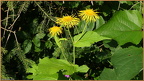 2019-07-08-00758