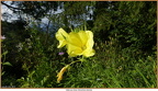 2019-07-08-00759