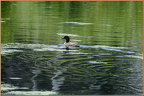 2019-08-03-00241