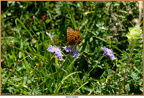 2019-08-08-00474