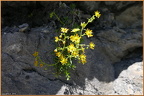 2019-08-09-00805