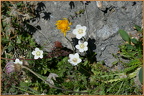 2019-08-09-00809