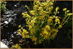 2019-08-09-00909