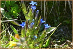 2019-08-09-00923