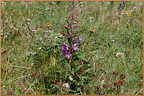 2019-08-09-00925