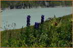 2019-08-09-00936