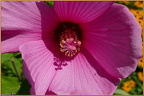 2019-08-13-00016
