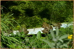 2019-08-13-00059