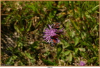 2019-08-26-00368